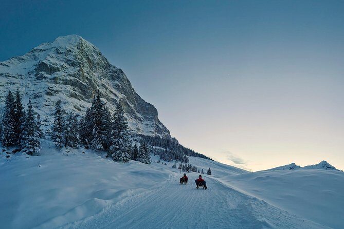 Private trip from Zurich to Jungfraujoch (The Top of Europe) - A Closer Look at the Private Zurich to Jungfraujoch Tour