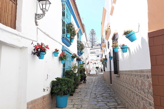 Private Trip in Gibraltar and Estepona from Marbella - An In-Depth Look at What to Expect