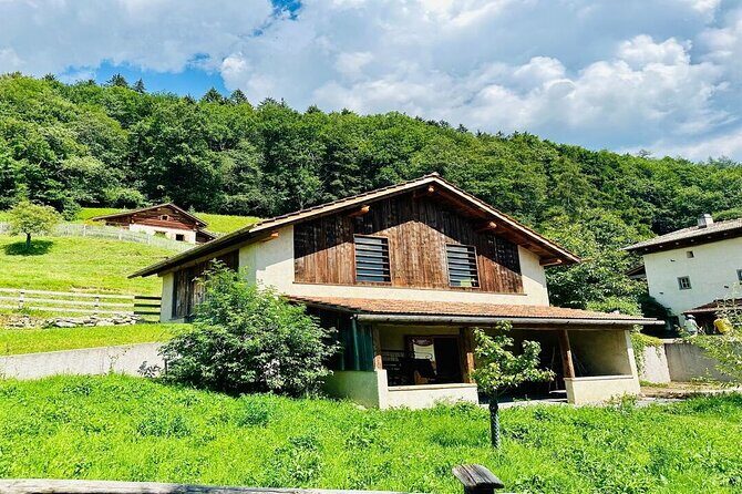 Private Trip to Heidi World Family Day from Zurich - What’s Included and What’s Not