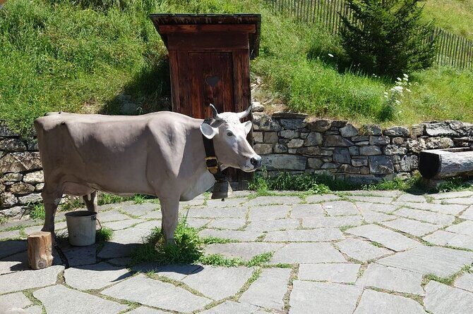 Private Trip to Heidi World Family Day from Zurich - Real Travelers’ Perspectives