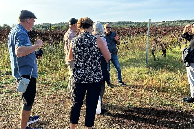 Private Trip to the Vineyards of Ginosa with tasting from Matera - What’s Included and What’s Not