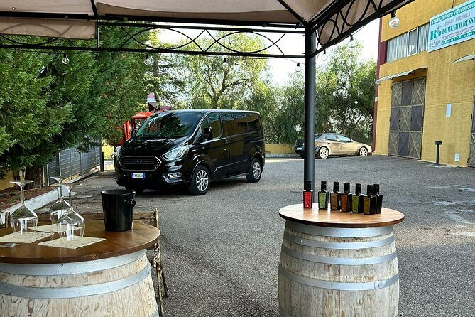 Private Trip to the Vineyards of Ginosa with tasting from Matera - Who Should Consider This Tour?