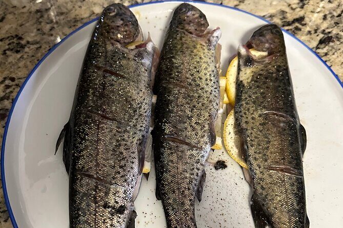 Private Trout Fishing Excursion in Virginia - Key Points