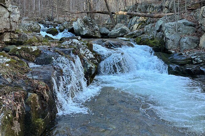 Private Trout Fishing Excursion in Virginia - What to Expect on the Day