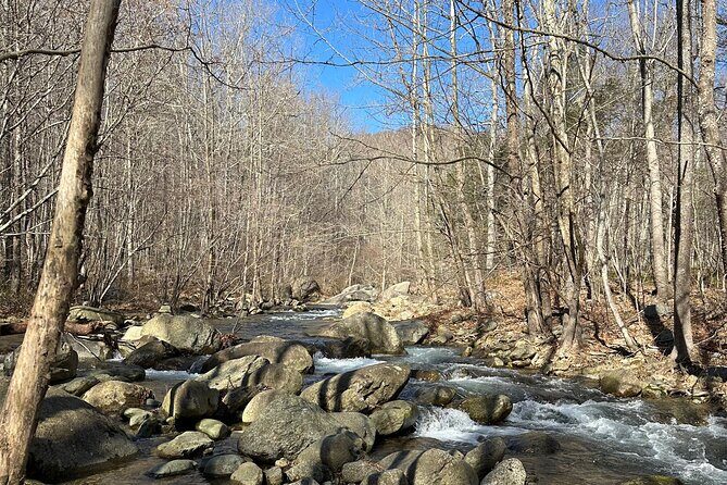 Private Trout Fishing Excursion in Virginia - Who Should Consider This Tour?