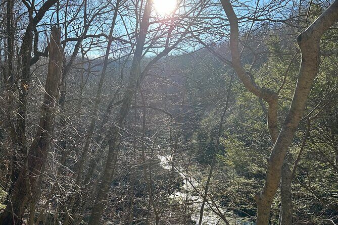 Private Trout Fishing Excursion in Virginia - Final Thoughts