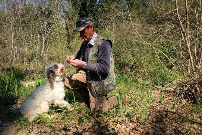 Private Truffle Hunt in Tuscany - What to Expect from the Experience