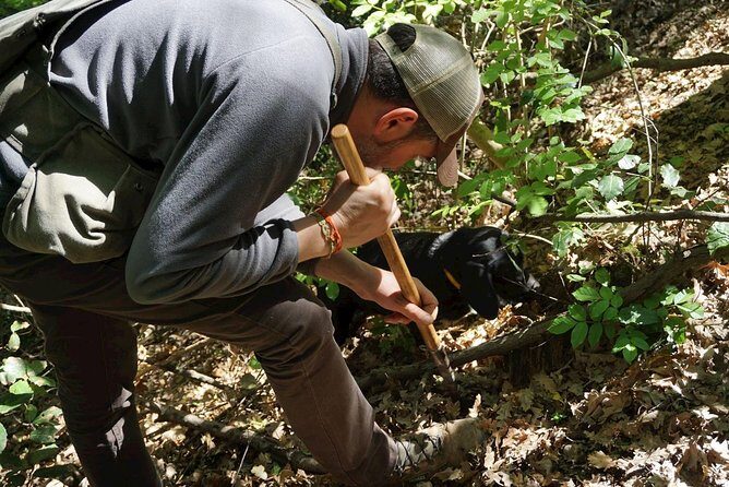 Private Truffle Hunting in Chianti - A Detailed Look at the Truffle Hunting Experience