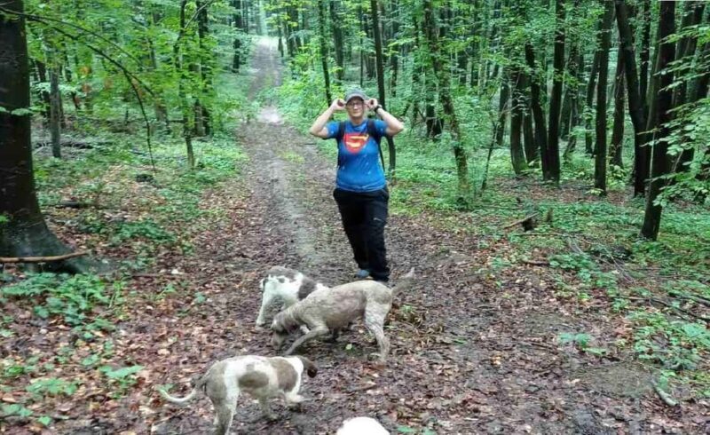 Private TruffleHunting Tour from Belgrade Lunch with Wine - Key Points