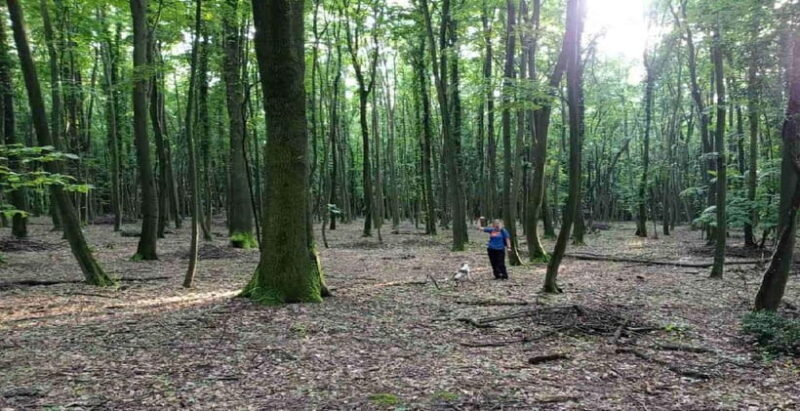 Private TruffleHunting Tour from Belgrade Lunch with Wine - Who Is This Tour Best For?