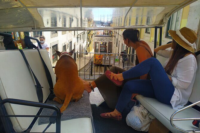 Private tuk tuk tour in old city Lisbon (Standard-1h30) - FAQ