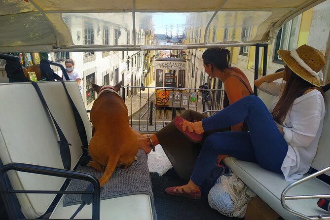 Private tuk tuk tour in old city Lisbon (Standard-1h30) - Who This Tour Works Best For