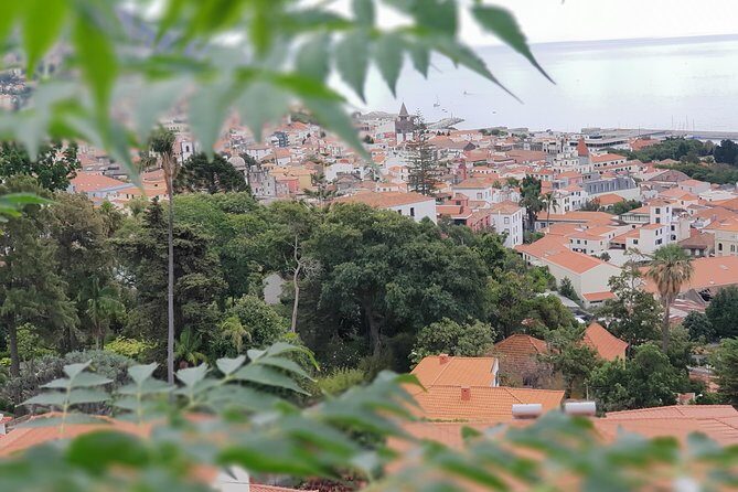 Private Tuk Tuk Tour to Old Town + Monte in Funchal - Why Choose This Tour?