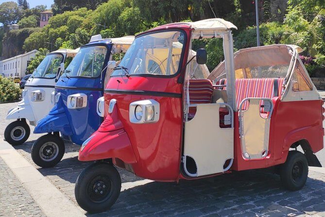 Private Tuk Tuk Tour to Old Town + Monte in Funchal - Practical Tips for Booking and Enjoying the Tour