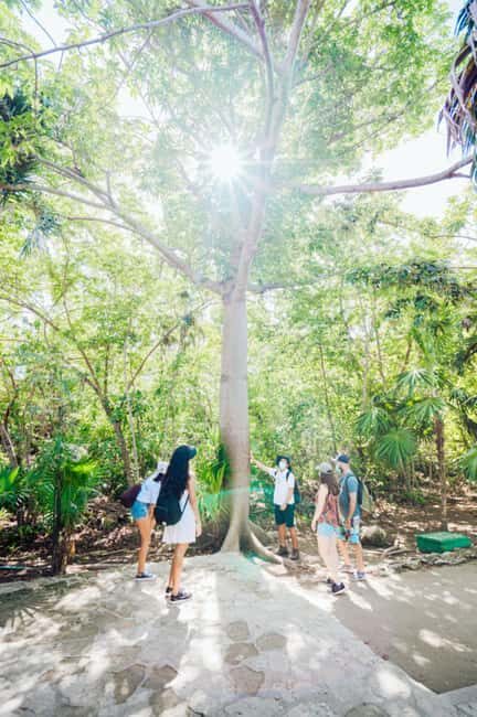 Private Tulum Ruins & Underground Cenote with Lunch Included - An Honest Look at the Tour Itinerary