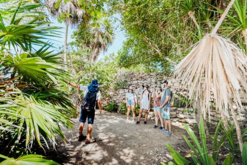 Private Tulum Ruins & Underground Cenote with Lunch Included - Physical Requirements and Suitability