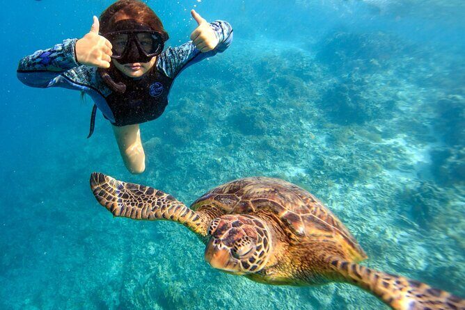 Private Turtle and Ray Tour Rarotonga - The Sum Up: Is This Tour Right for You?