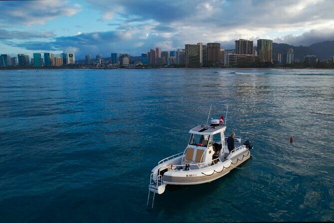 Private Turtle Snorkel & Cruise Waikiki - FAQs