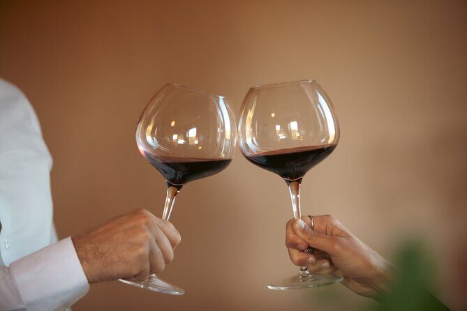 Private Tuscan Lunch with Wine & Evo oil tasting in the Vineyard - The Price and Overall Value