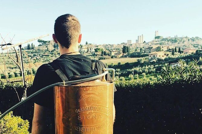 Private Tuscan Lunch with Wine & Evo oil tasting in the Vineyard - Who Should Consider This Experience?