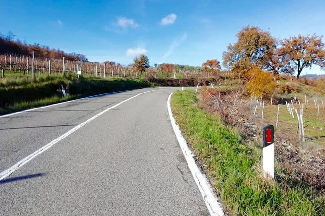 Private Tuscany Cycling Tour from Florence - What to Expect from the Tour