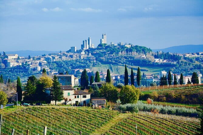 Private Tuscany Day Tour: San Gimignano and Chianti Wine Region from Florence - Who Is This Tour Best Suited For?