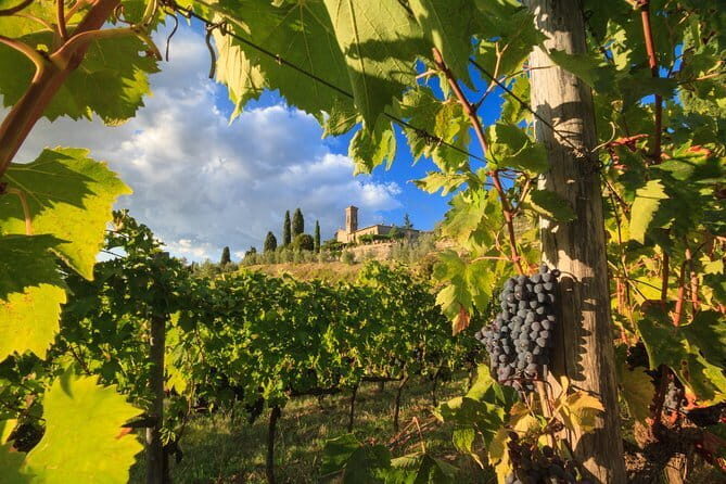 Private Tuscany Tour from Florence Including Siena, San Gimignano and Chianti Wine Region - A Deep Dive Into the Experience