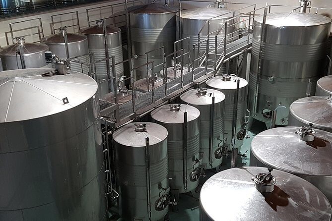 Private Txakoli Wine Tour through the Coast from San Sebastian - The Sum Up: Who Is This Tour Best For?