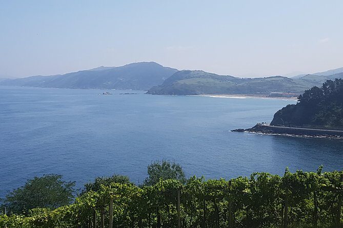 Private Txakoli Wine Tour through the Coast from San Sebastian - FAQs