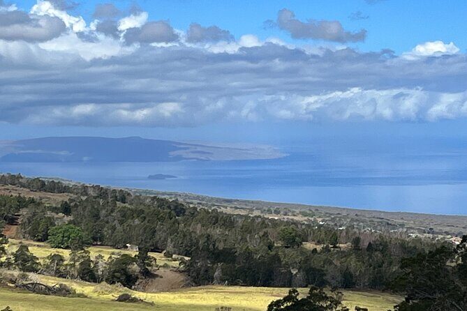 Private Upcountry Farm Tour on Maui - Food and Tasting Experiences