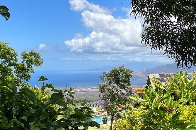 Private Upcountry Farm Tour on Maui - Who Should Consider This Tour?