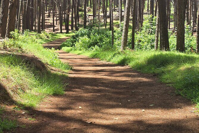 Private Upcountry Hiking Tour - What to Expect on the Hike