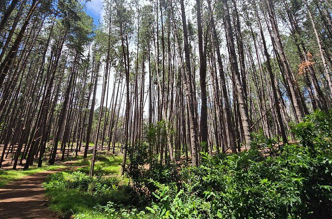 Private Upcountry Hiking Tour - Price and Value