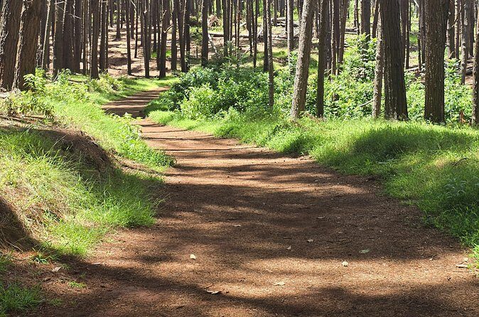 Private Upcountry Hiking Tour - The Sum Up: Who Will Love This Tour?