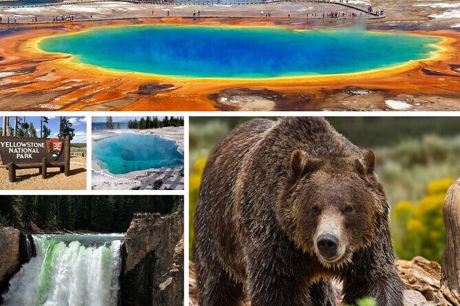 Private Upper Loop Tour of Yellowstone National Park - Key Points