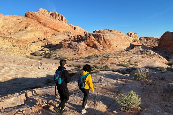 Private Valley of Fire Hiking and Sightseeing Adventure - Is This Tour Worth the Cost?