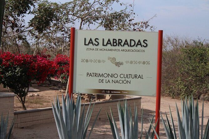 Private Van and Bilingual Local Driver - An In-Depth Look at What Youre Getting