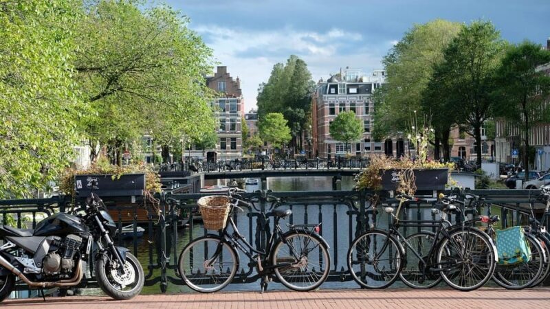 Private Van Gogh Walking Tour through Amsterdam - Key Points