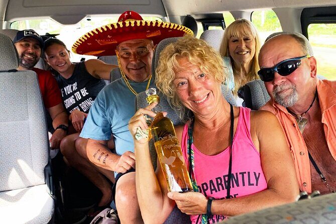 Private Van Service - Who Is This Tour Best For?