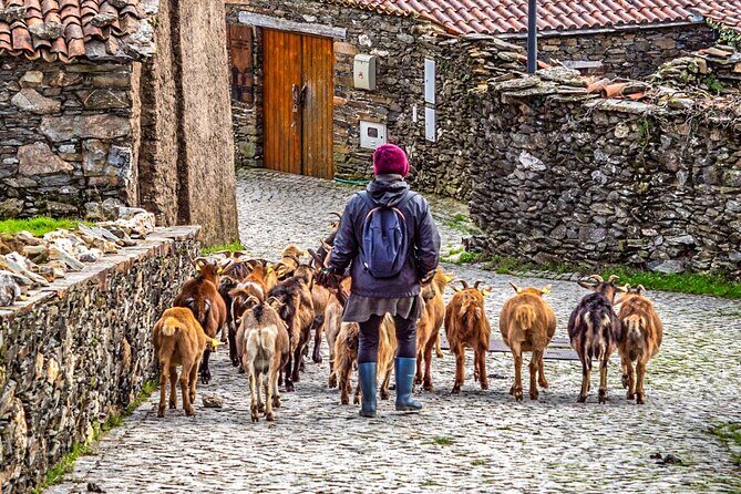 Private Van Tour to Schist Villages of Lousã - A Closer Look at the Tour