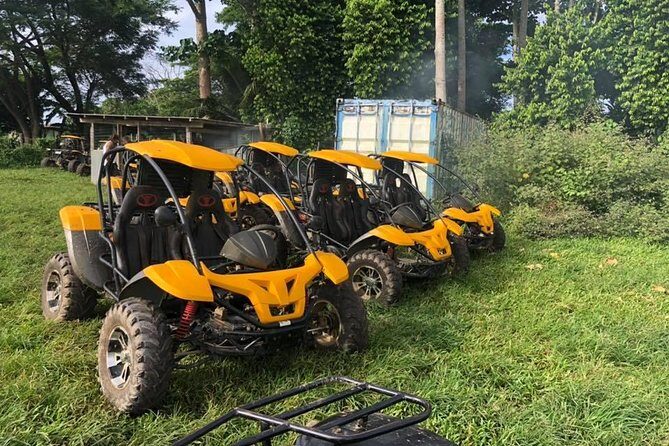 Private Vehicle Hire plus Driver with Yumi Tours - Booking and Availability