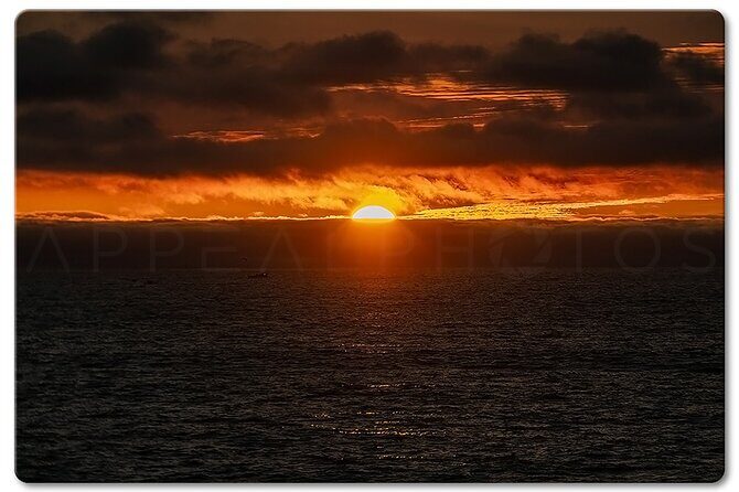 Private Venice Photographic Beach Walking Tour - Key Points