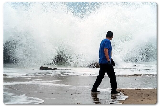 Private Venice Photographic Beach Walking Tour - A Closer Look at the Venice Photographic Beach Walking Tour