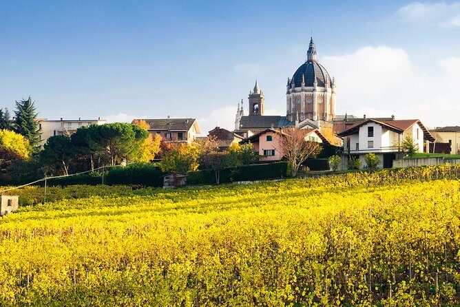 Private Vespa Tour "Among the hills of Barolo and Barbaresco" - Key Points