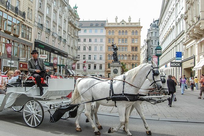 Private Vienna City Tour with Schonbrunn Palace Visit - A Closer Look at the Tour Itself