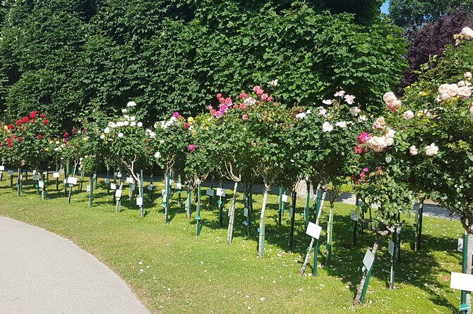 Private Vienna Sightseeing Tour matching to personal interests - The Hofburg & Ringstrasse