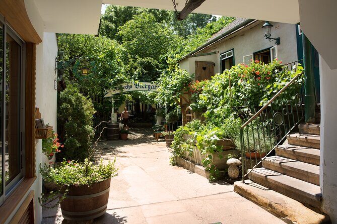 Private Vienna Wine Tour with Top Austrian Wines and Tapas - What Travelers Say