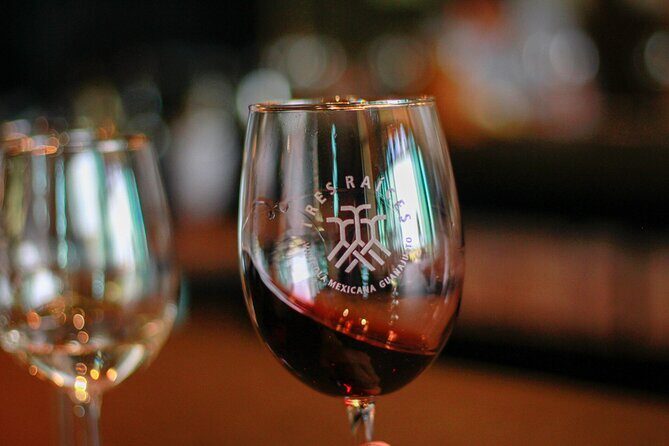 Private Vineyard and Wine Testing Tour From Guanajuato - Exploring the Private Vineyard and Wine Testing Tour From Guanajuato: A Friendly Breakdown