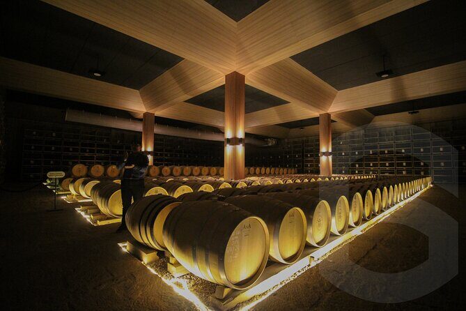 Private Vineyard and Wine Testing Tour From Guanajuato - Key Points