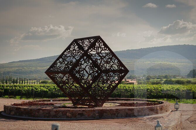 Private Vineyard and Wine Testing Tour From Guanajuato - Who Will Love This Tour?